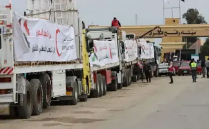 قافلة “زاد العزة” الـ 223 تدخل إلى الفلسطينيين فى قطاع غزة