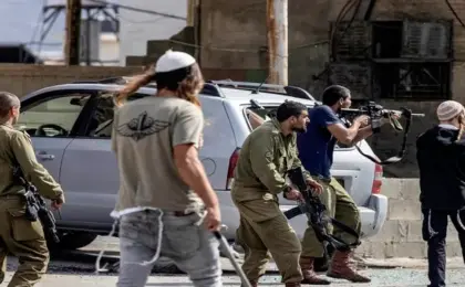الأمم المتحدة: أكثر من 1040 فلسطينيا أصيبوا جراء هجمات المستوطنين بالضفة منذ بداية 2026