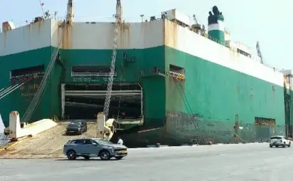  خلال 48 ساعة.. موانئ شرق وغرب بورسعيد تستقبل سفينتي دحرجة سيارات بإجمالى 906 مركبات