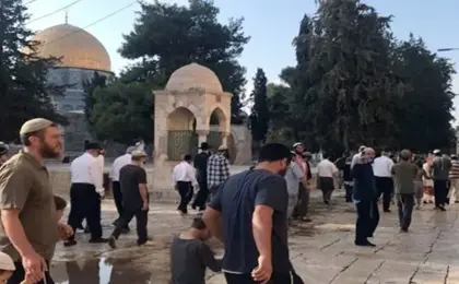 مستوطنون إسرائيليون يقتحمون باحات المسجد الأقصى .. واعتقالات فى الخليل وأريحا