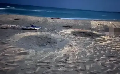 استهداف عنصرين من القاعدة بمسيرة يُعتقد أنها أمريكية في حضرموت شرق اليمن