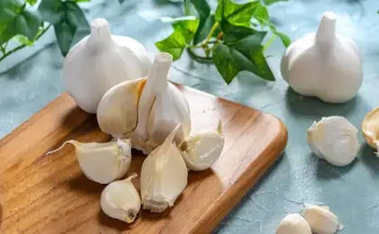 تناول الثوم النىء يوميًا على الريق.. فوائد لا تتوقعها