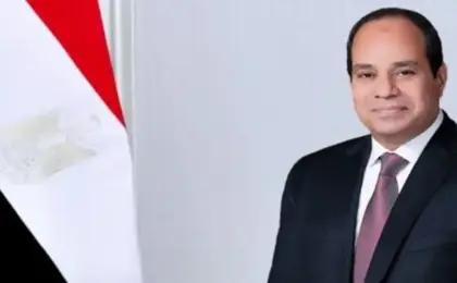 الرئيس السيسى يؤكد ضرورة توفير تعليم عالى الجودة من خلال الاستثمار فى العنصر البشرى