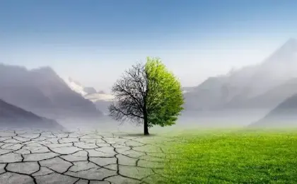 تغير المناخ يسرّع نضج المحاصيل الزراعية فى أوروبا