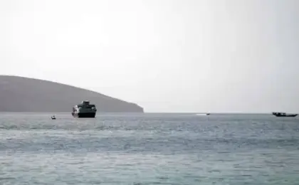 تراجع فى عدد السفن العابرة لمضيق هرمز