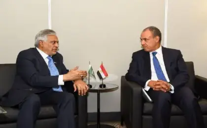 وزير الخارجية يلتقى نائب رئيس الوزراء ووزير خارجية باكستان