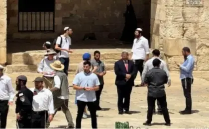 محافظة القدس: جماعات “الهيكل” تمهّد لتحويل باب الرحمة لنقطة صلاة يهودية على غرار حائط البراق
