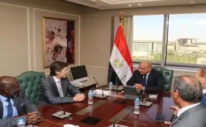 وزير الكهرباء يبحث مع وفد المنظمة الدولية للمواصفات الكهروتقنية تعزيز التعاون الفنى والمؤسسى