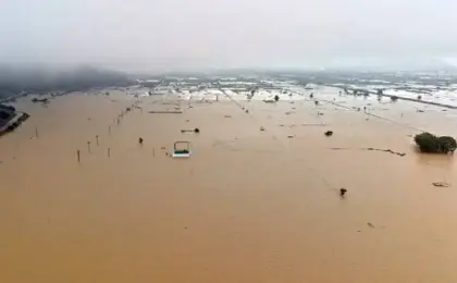 أمطار غزيرة وفيضانات واسعة تضرب كريت اليونانية وتخلف أضرارا واسعة