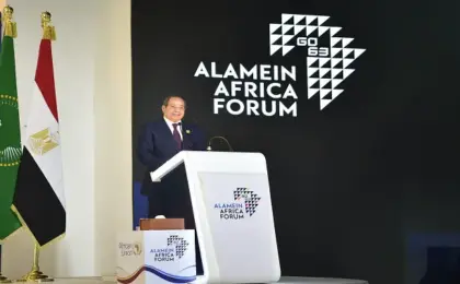 بالفيديو .. الرئيس السيسي: التنمية الاقتصادية لا تبنى في دول غير مستقرة.. والاستقرار ليس ترفا بل ركيزة أساسية