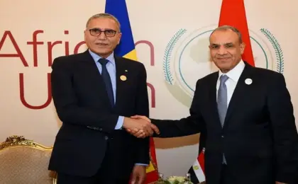 وزير الخارجية ونظيره التشادي الجديد يبحثان العلاقات الثنائية والقضايا الإقليمية